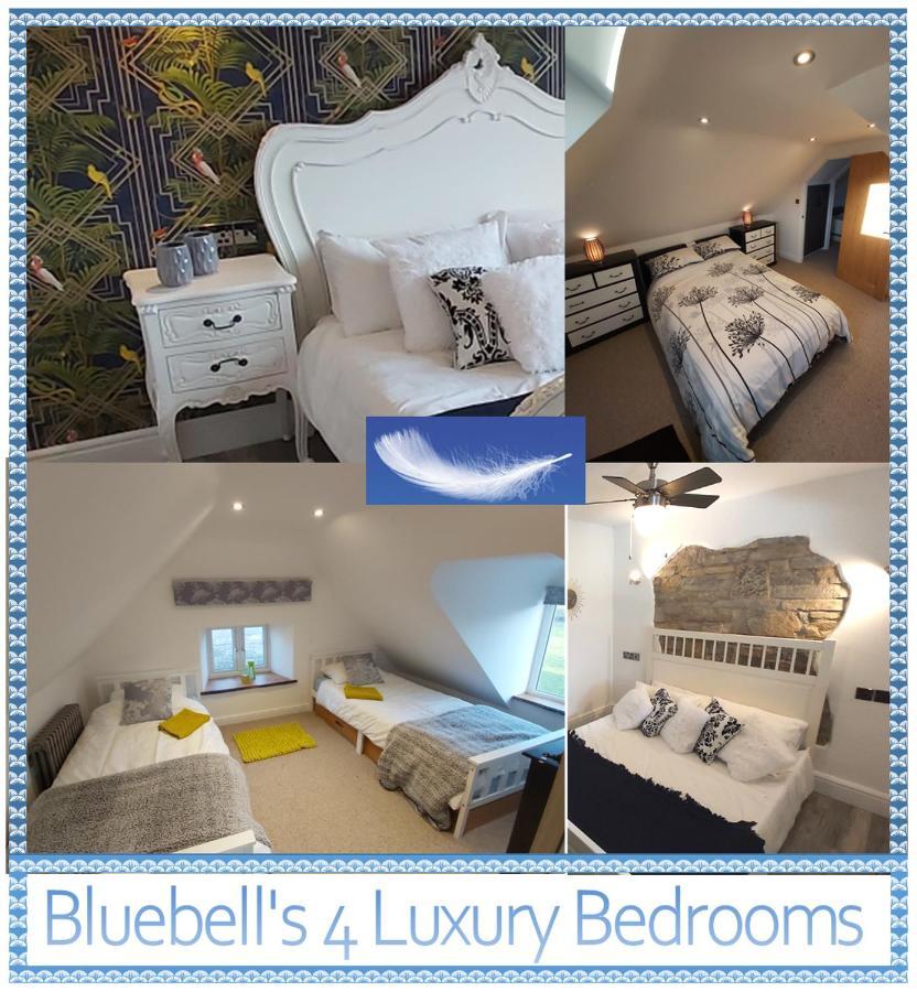 萨默顿Bluebell House 5 Star Holiday Let别墅 外观 照片